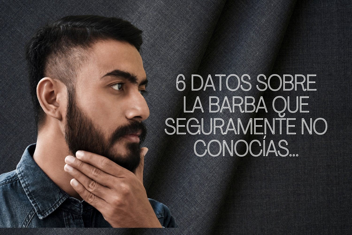 Curiosidades sobre la Barba 🧔🏻😍 - BarbaReal